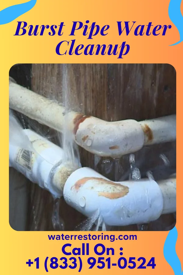 Burst Pipe Water Cleanup in Surfside Beach, TX