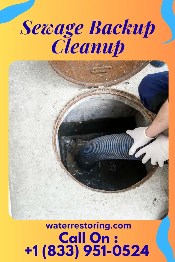 Sewage Backup Cleanup in Surfside Beach, TX